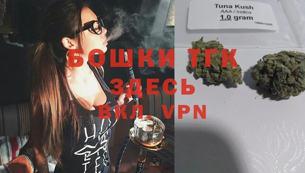 гидра Бугульма