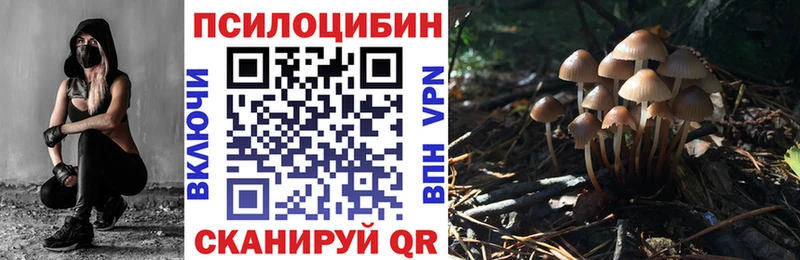 Псилоцибиновые грибы MAGIC MUSHROOMS  гидра зеркало  Нижнекамск 