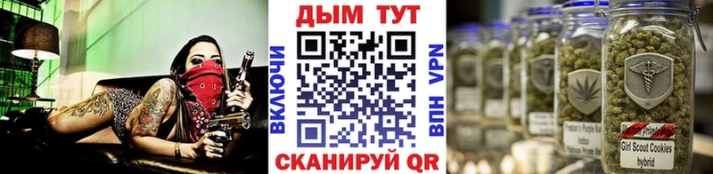 Шишки марихуана марихуана  Нижнекамск 